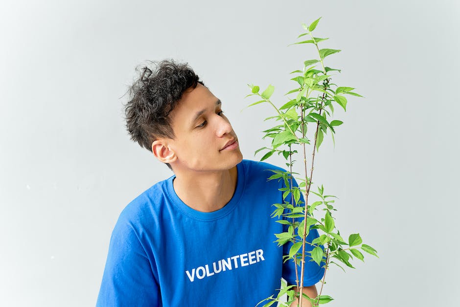 volunteer hours