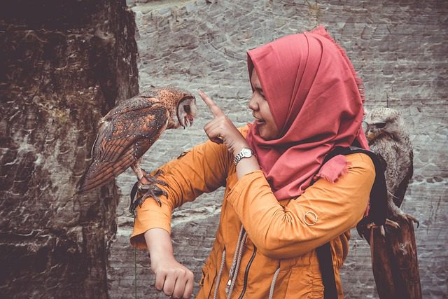 Transparent Communication