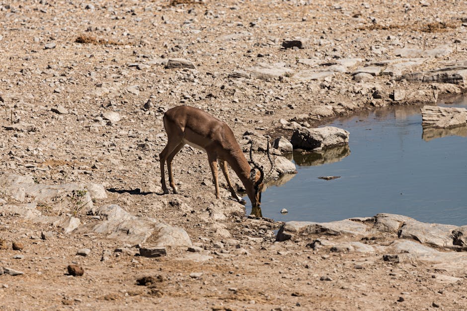 innovative technologies