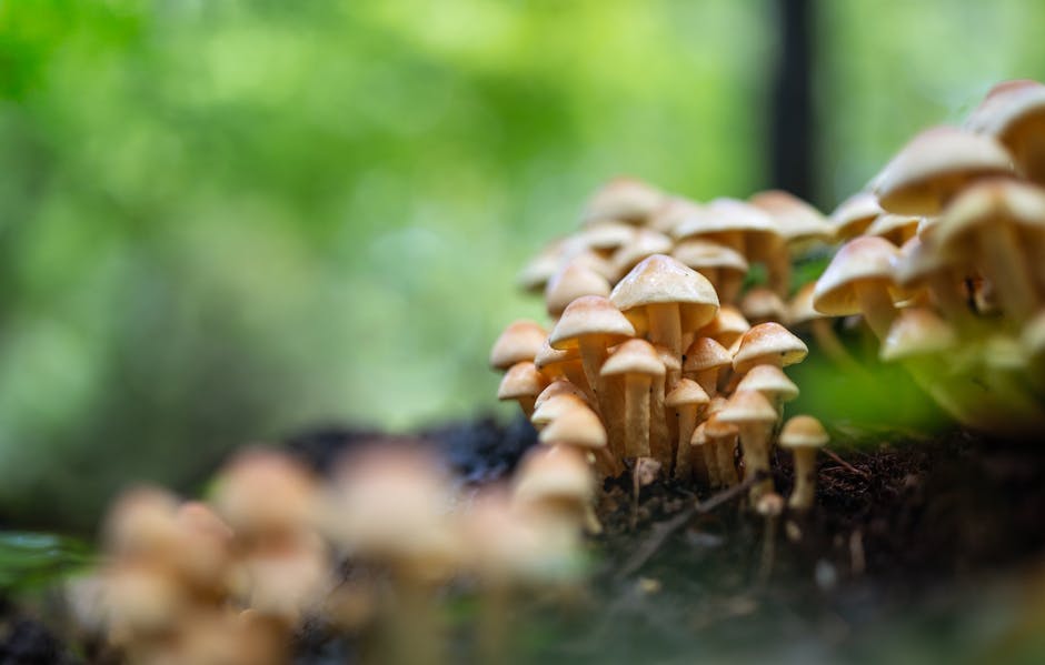 collaborative decision-making