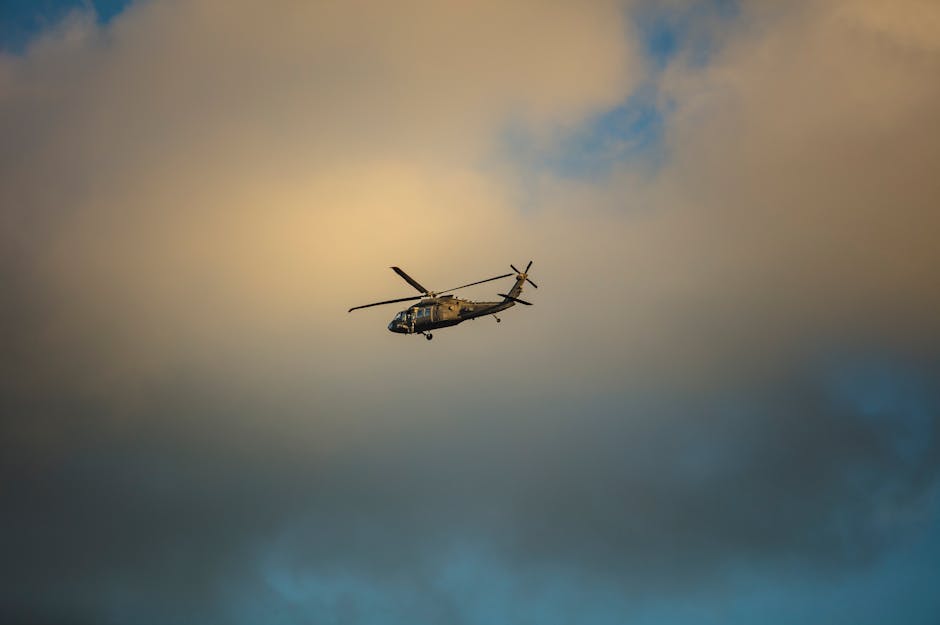 Competitive Analysis