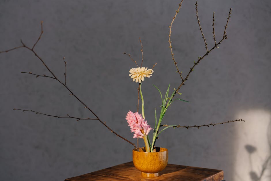 Balancing Creativity and Functionality