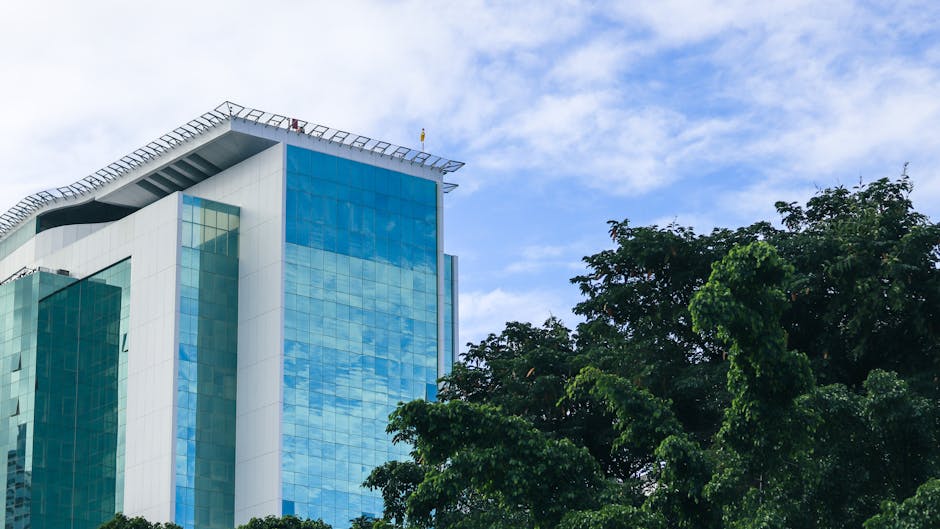 Constructive Feedback