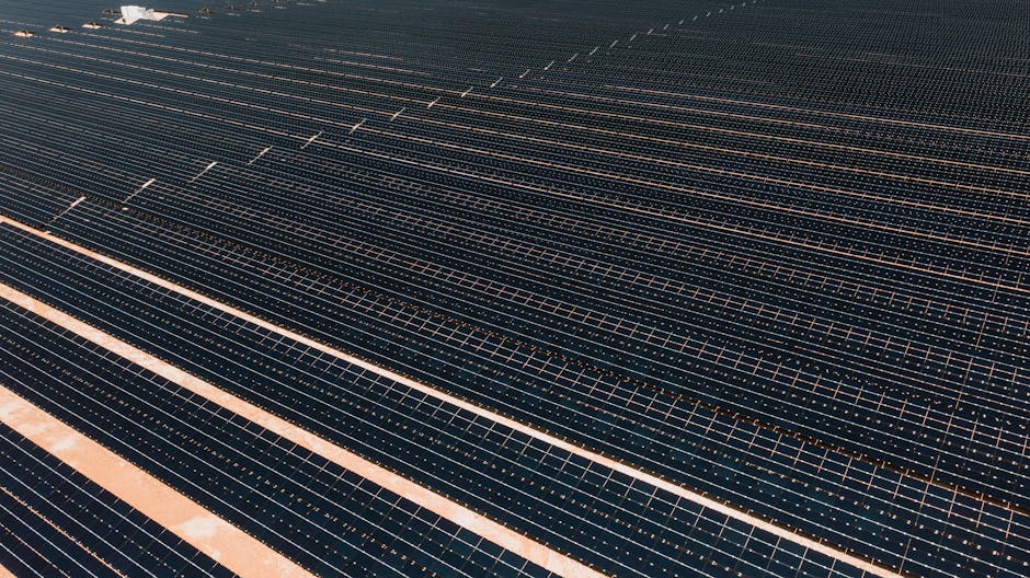 sustainability
