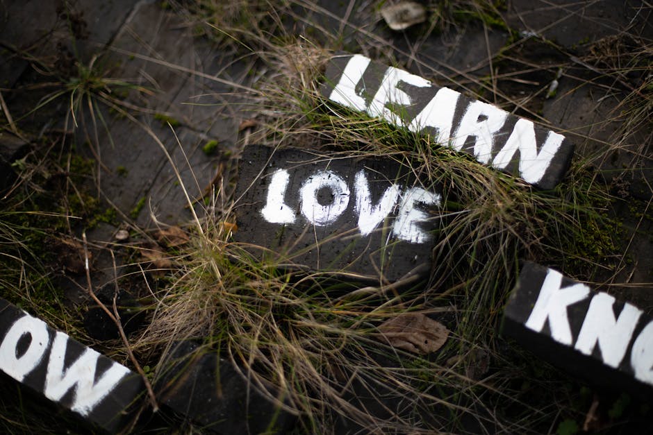 embracing failure