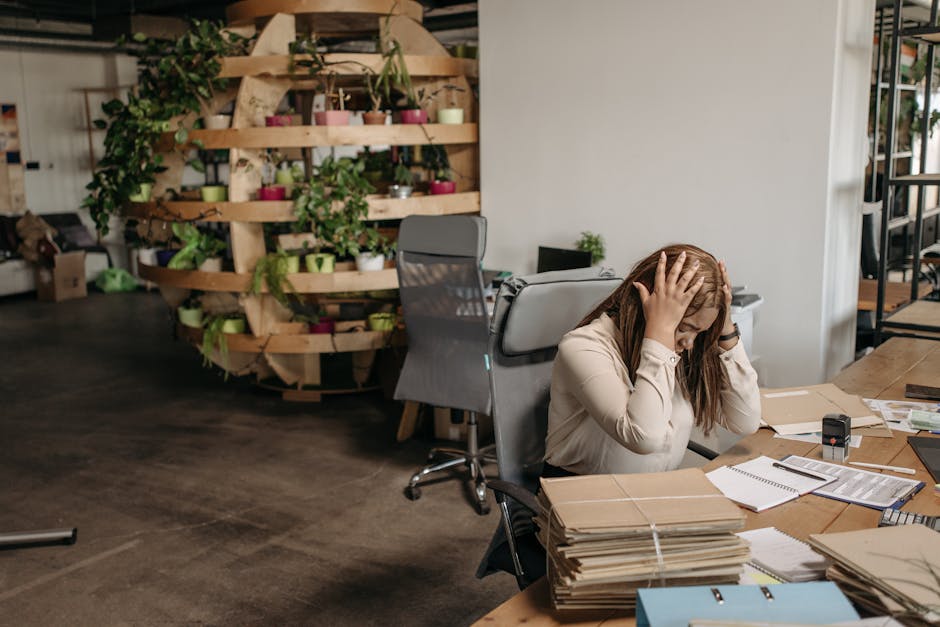delegate responsibilities