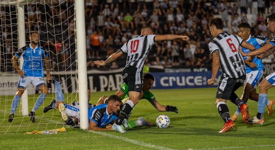 Interactive Polls and Surveys