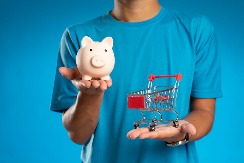 budget constraints