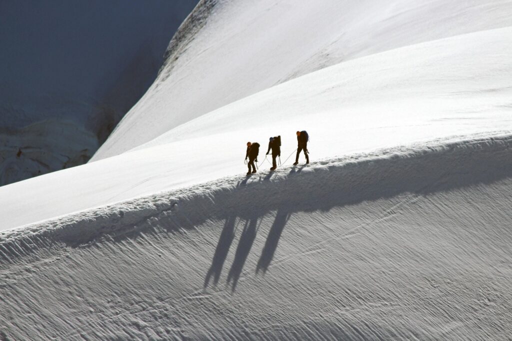 Building Trust Among Team Members