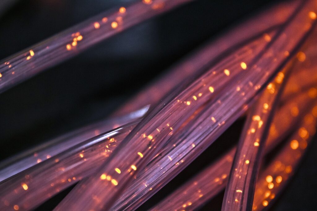 Building a Strong Professional Network