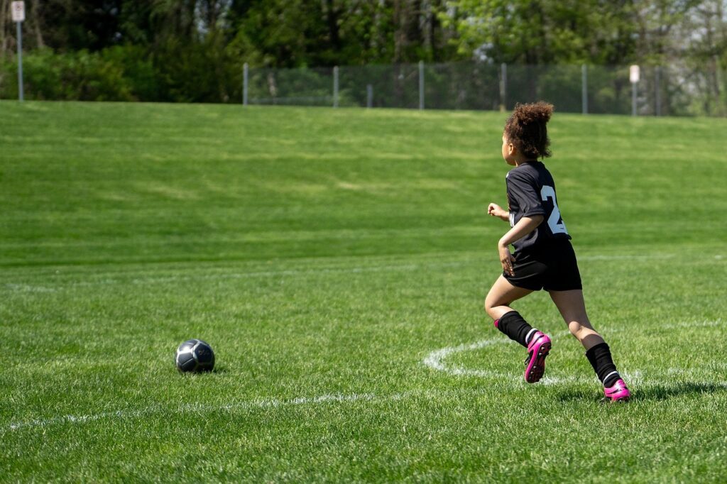 Strategies for Effective Team Training on New 3D Software