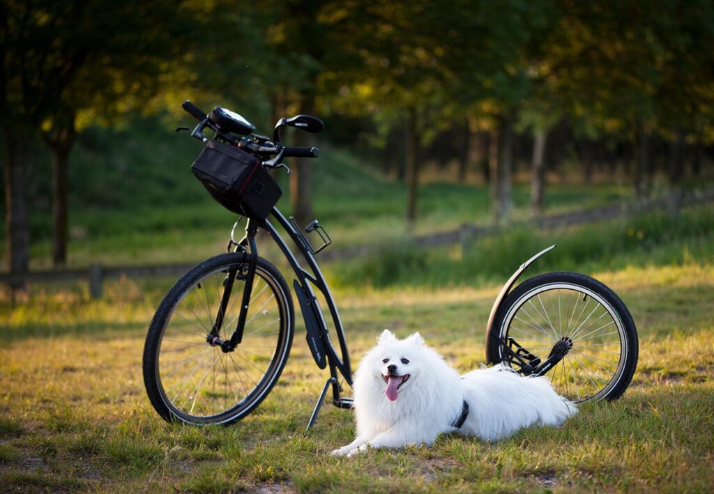 The Role of Active Listening in Conflict Resolution The Role of Active Listening in Conflict Resolution