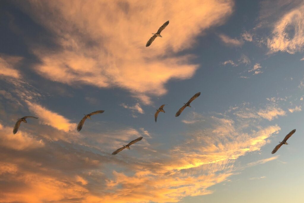 Developing a Migration Strategy