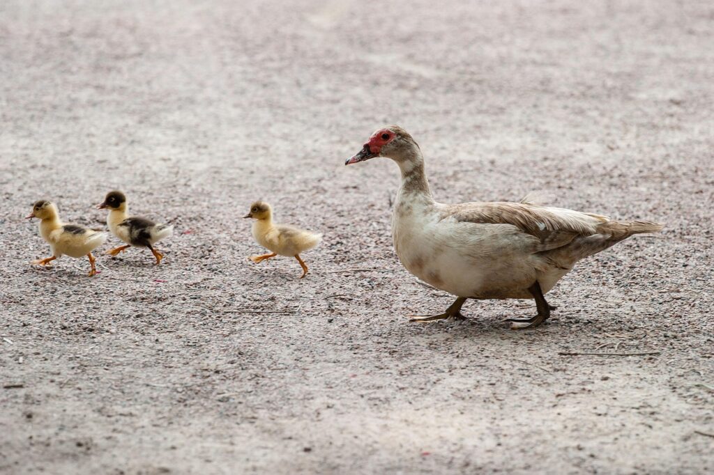 Following Relevant Industry Publications