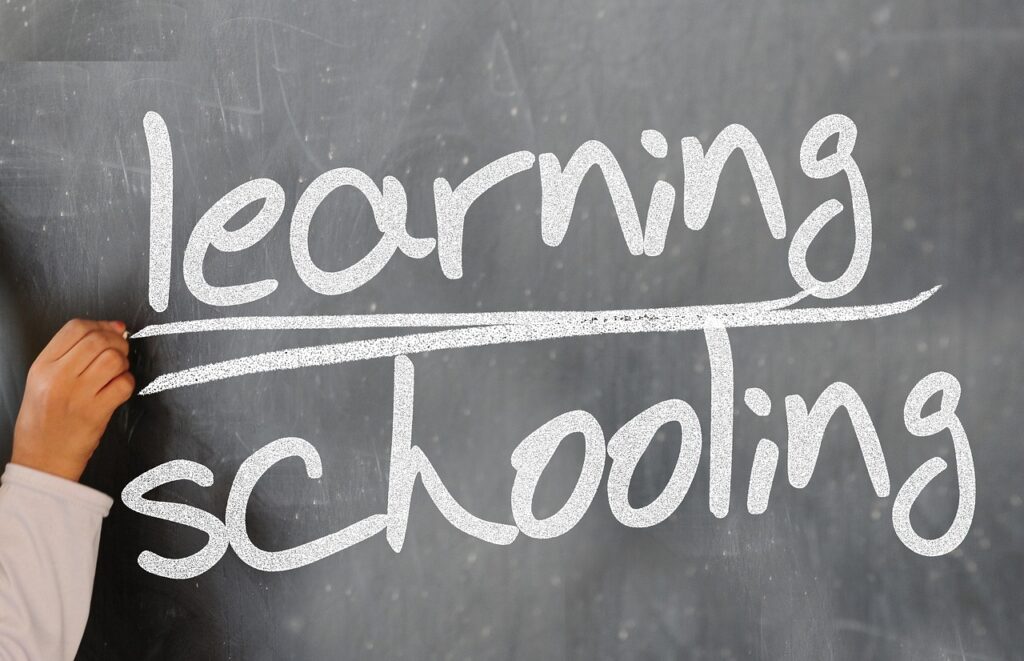 The Role of Soft Skills in a Tech Career