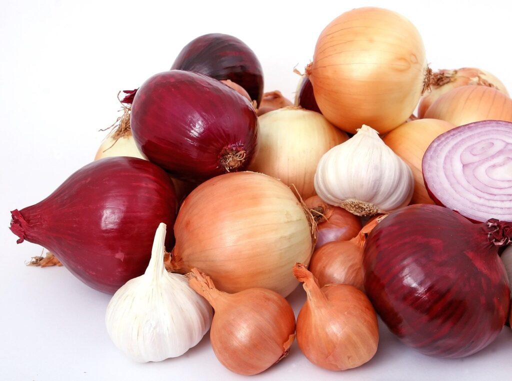 Common Conflicts in Food Safety Practices