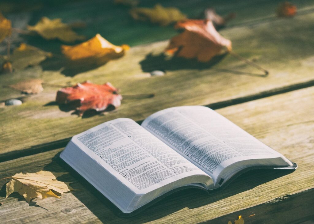 The Importance of Open Communication in Times of Transition