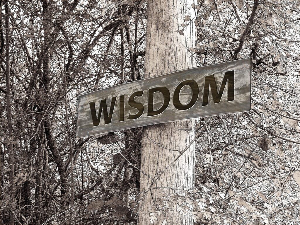 Emotional Intelligence: Harnessing Past Experiences for Better Decision-Making