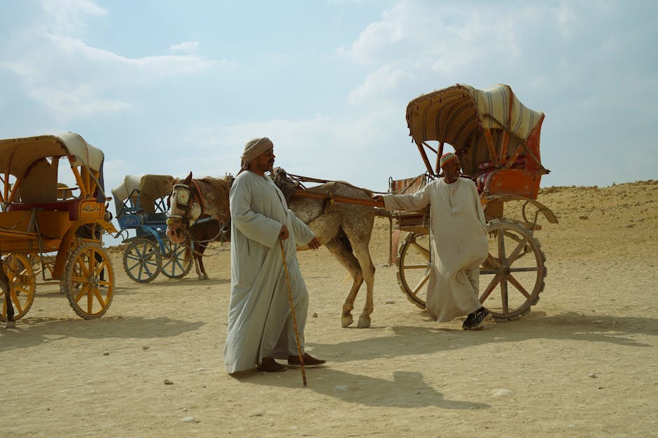 network administration