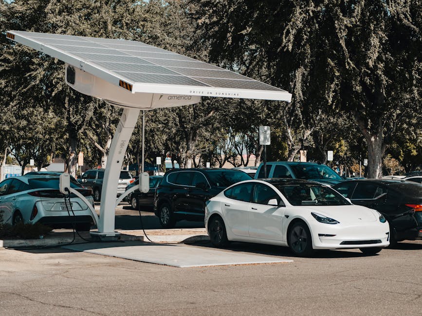 sustainable public transit