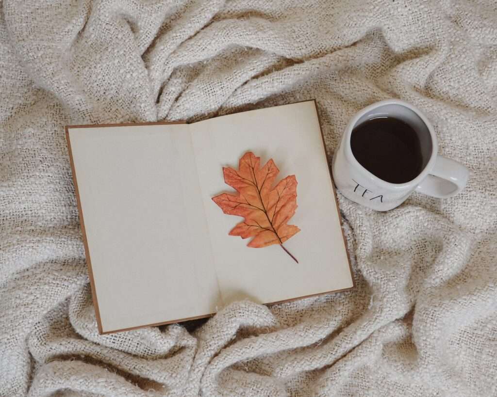 Cozy Autumn Evenings