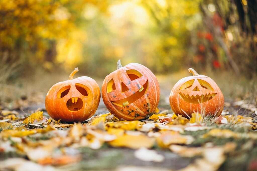 Celebrating Fall Traditions