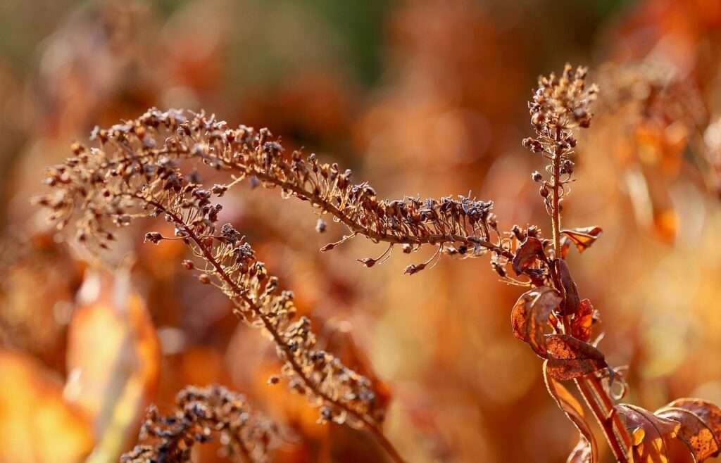 The Colors of Fall – Colors